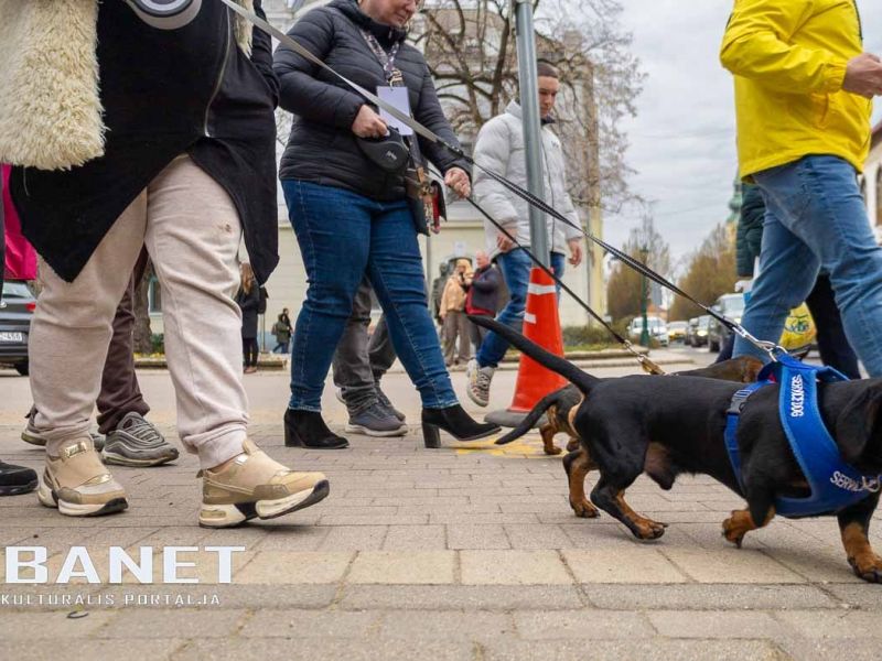 Tacskótalálkozó Gyulán - 2025 Tacskótalálkozó Gyulán - 2025