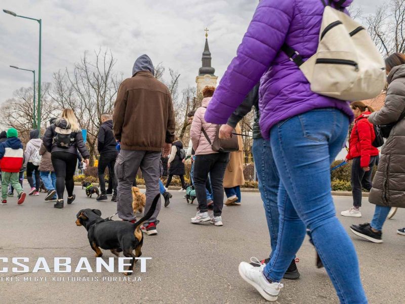 Tacskótalálkozó Gyulán - 2025 Tacskótalálkozó Gyulán - 2025