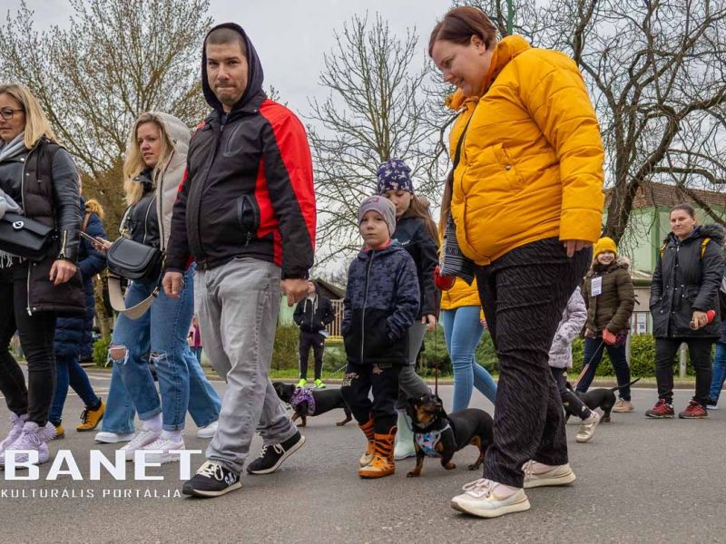 Tacskótalálkozó Gyulán - 2025 Tacskótalálkozó Gyulán - 2025