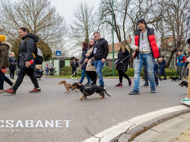 Tacskótalálkozó Gyulán - 2025 Tacskótalálkozó Gyulán - 2025