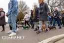 Tacskótalálkozó Gyulán - 2025