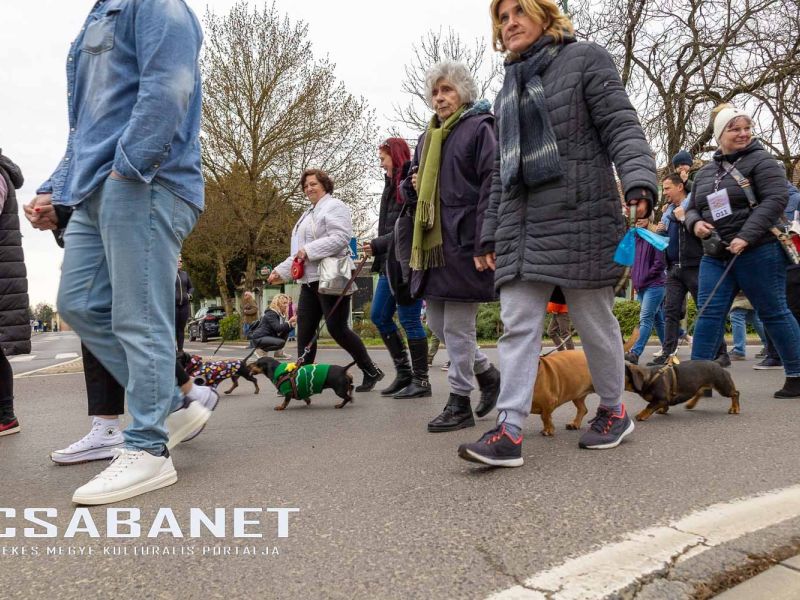 Tacskótalálkozó Gyulán - 2025 Tacskótalálkozó Gyulán - 2025