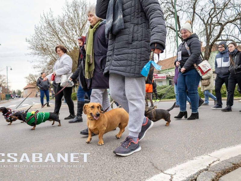 Tacskótalálkozó Gyulán - 2025 Tacskótalálkozó Gyulán - 2025