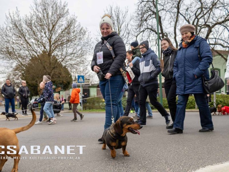 Tacskótalálkozó Gyulán - 2025 Tacskótalálkozó Gyulán - 2025