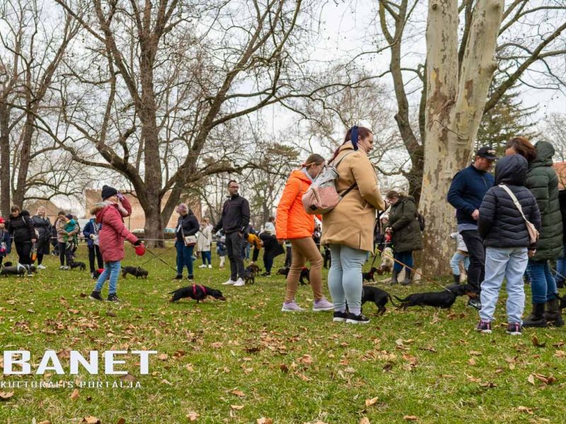 Tacskótalálkozó Gyulán - 2025 Tacskótalálkozó Gyulán - 2025