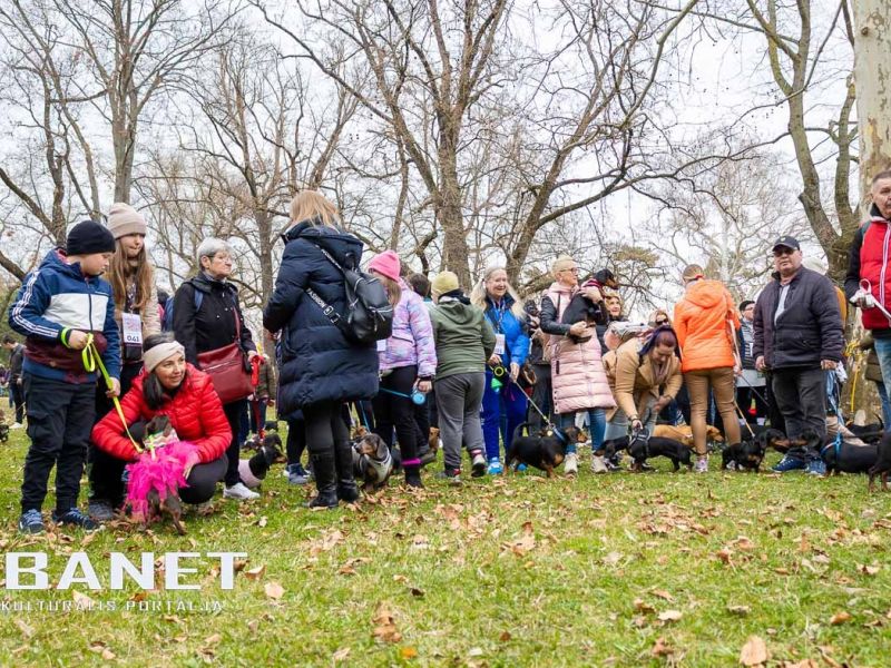 Tacskótalálkozó Gyulán - 2025 Tacskótalálkozó Gyulán - 2025