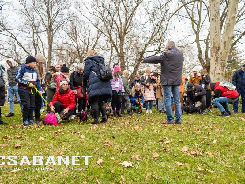 Tacskótalálkozó Gyulán - 2025 Tacskótalálkozó Gyulán - 2025