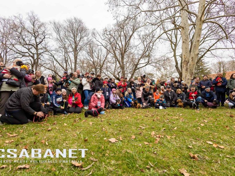 Tacskótalálkozó Gyulán - 2025 Tacskótalálkozó Gyulán - 2025