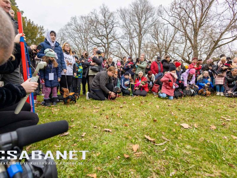 Tacskótalálkozó Gyulán - 2025 Tacskótalálkozó Gyulán - 2025