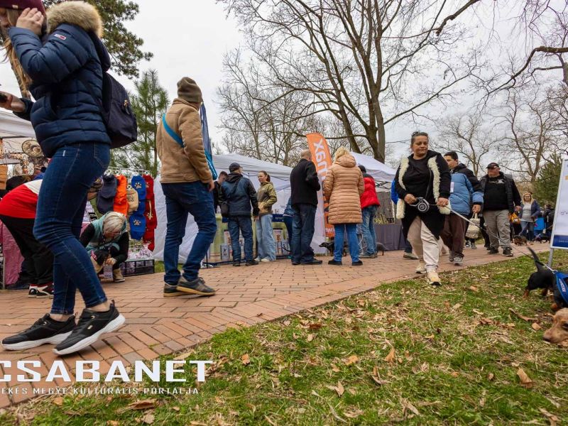 Tacskótalálkozó Gyulán - 2025 Tacskótalálkozó Gyulán - 2025