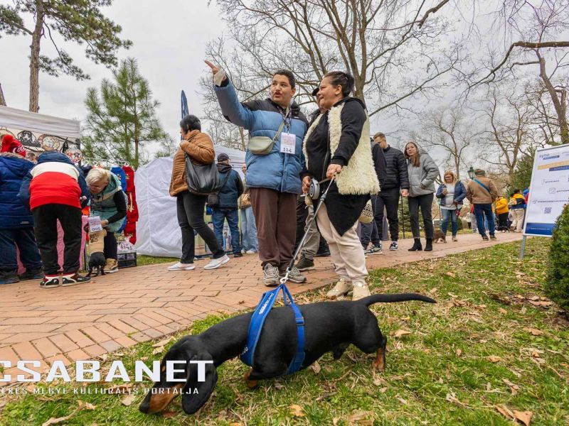 Tacskótalálkozó Gyulán - 2025 Tacskótalálkozó Gyulán - 2025