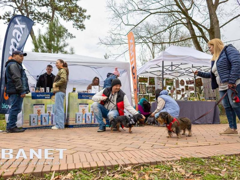 Tacskótalálkozó Gyulán - 2025 Tacskótalálkozó Gyulán - 2025