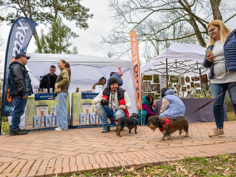 Tacskótalálkozó Gyulán - 2025 Tacskótalálkozó Gyulán - 2025