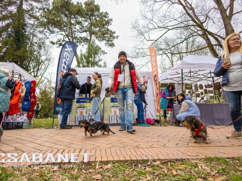 Tacskótalálkozó Gyulán - 2025 Tacskótalálkozó Gyulán - 2025