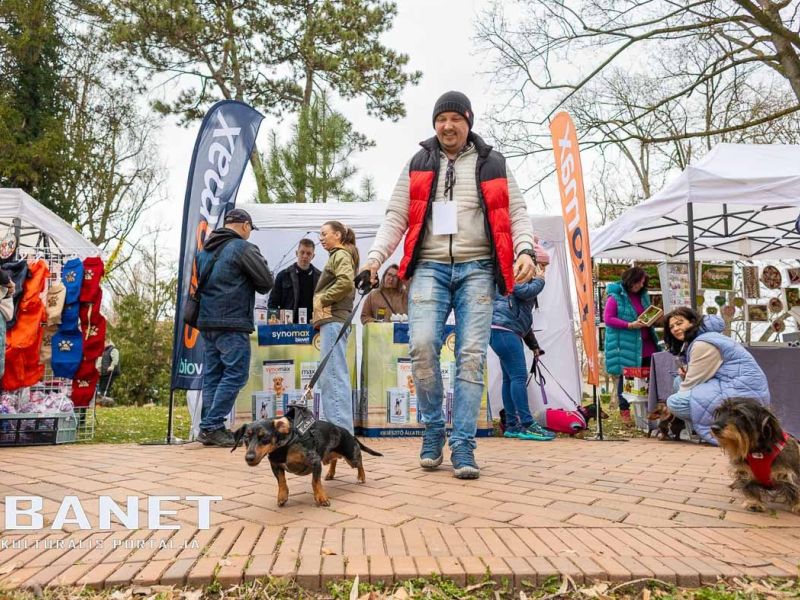 Tacskótalálkozó Gyulán - 2025 Tacskótalálkozó Gyulán - 2025