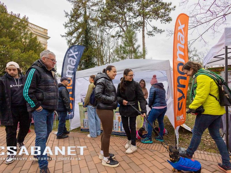 Tacskótalálkozó Gyulán - 2025 Tacskótalálkozó Gyulán - 2025