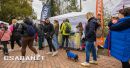 Tacskótalálkozó Gyulán - 2025