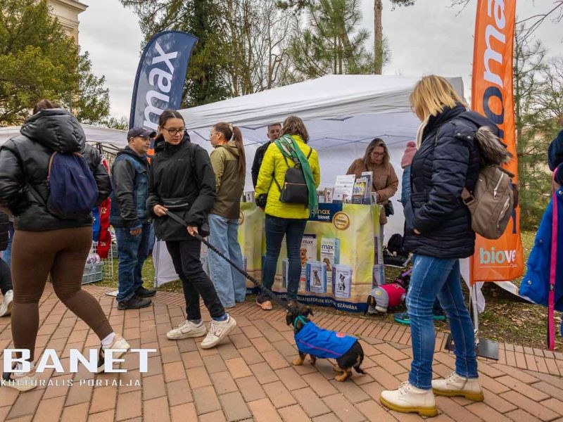 Tacskótalálkozó Gyulán - 2025 Tacskótalálkozó Gyulán - 2025