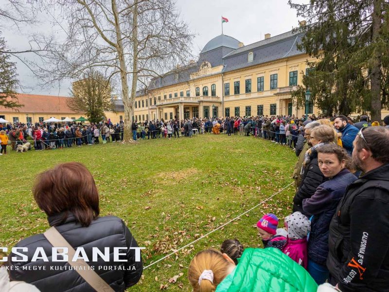 Tacskótalálkozó Gyulán - 2025 Tacskótalálkozó Gyulán - 2025