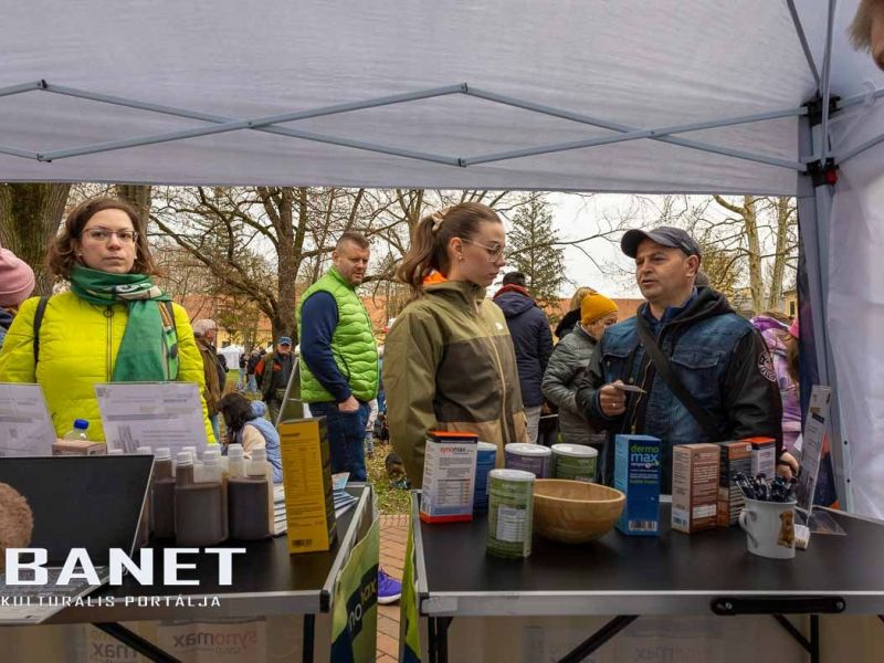 Tacskótalálkozó Gyulán - 2025 Tacskótalálkozó Gyulán - 2025