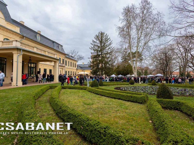 Tacskótalálkozó Gyulán - 2025 Tacskótalálkozó Gyulán - 2025