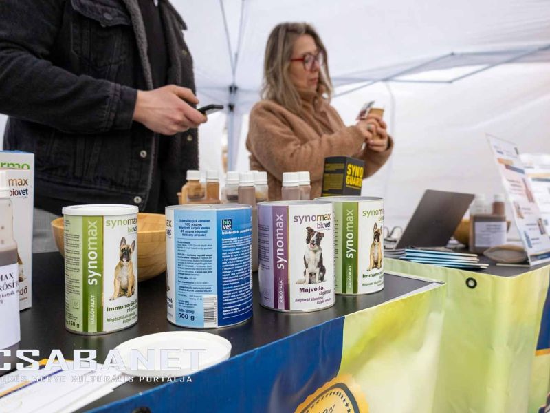 Tacskótalálkozó Gyulán - 2025 Tacskótalálkozó Gyulán - 2025