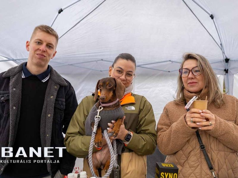 Tacskótalálkozó Gyulán - 2025 Tacskótalálkozó Gyulán - 2025