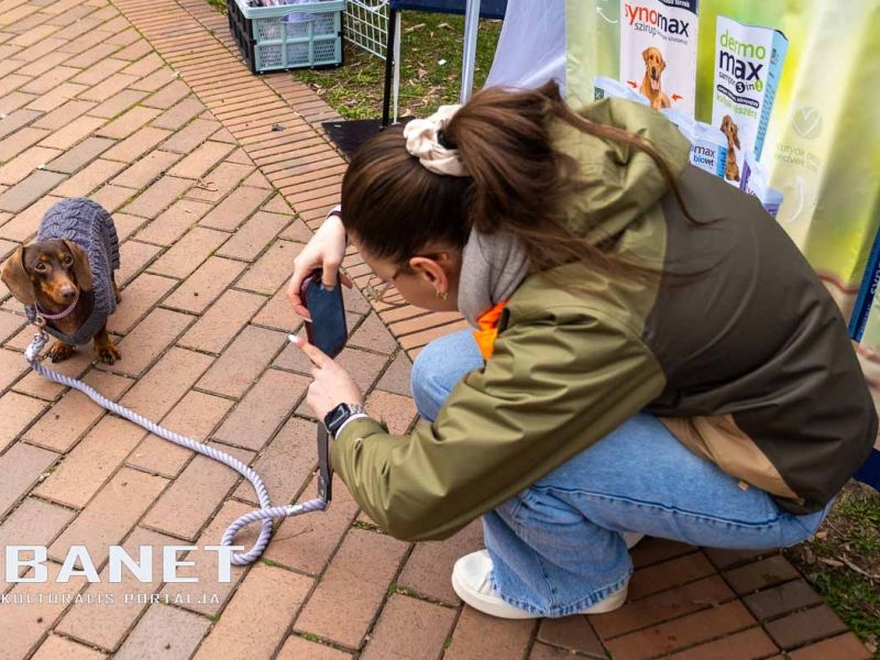 Tacskótalálkozó Gyulán - 2025 Tacskótalálkozó Gyulán - 2025