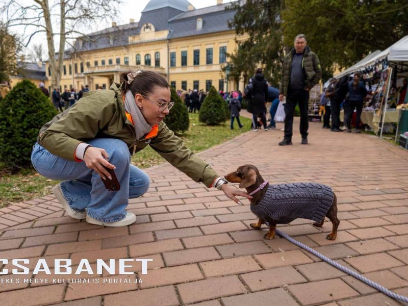 Tacskótalálkozó Gyulán - 2025 Tacskótalálkozó Gyulán - 2025