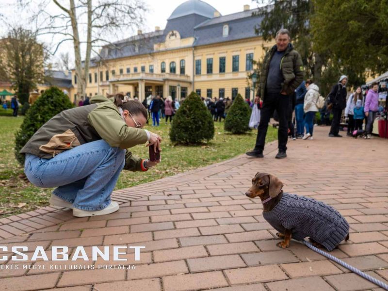 Tacskótalálkozó Gyulán - 2025 Tacskótalálkozó Gyulán - 2025