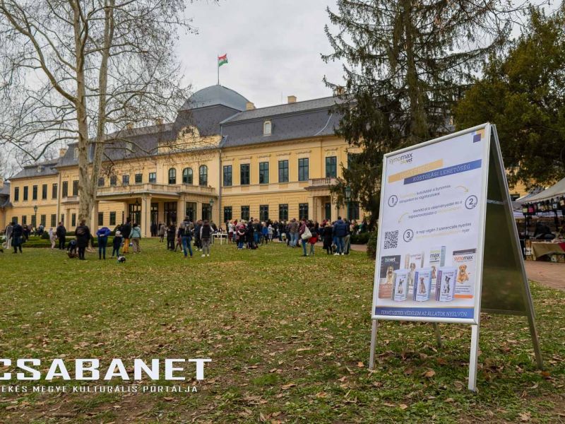 Tacskótalálkozó Gyulán - 2025 Tacskótalálkozó Gyulán - 2025