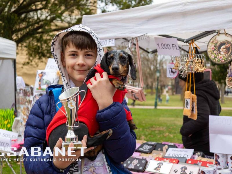 Tacskótalálkozó Gyulán - 2025 Tacskótalálkozó Gyulán - 2025