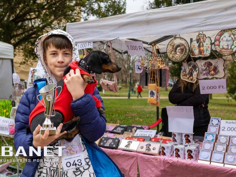 Tacskótalálkozó Gyulán - 2025 Tacskótalálkozó Gyulán - 2025