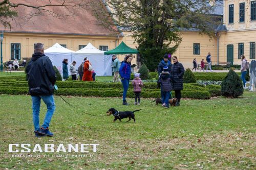 Tacskótalálkozó Gyulán - 2025 Tacskótalálkozó Gyulán - 2025