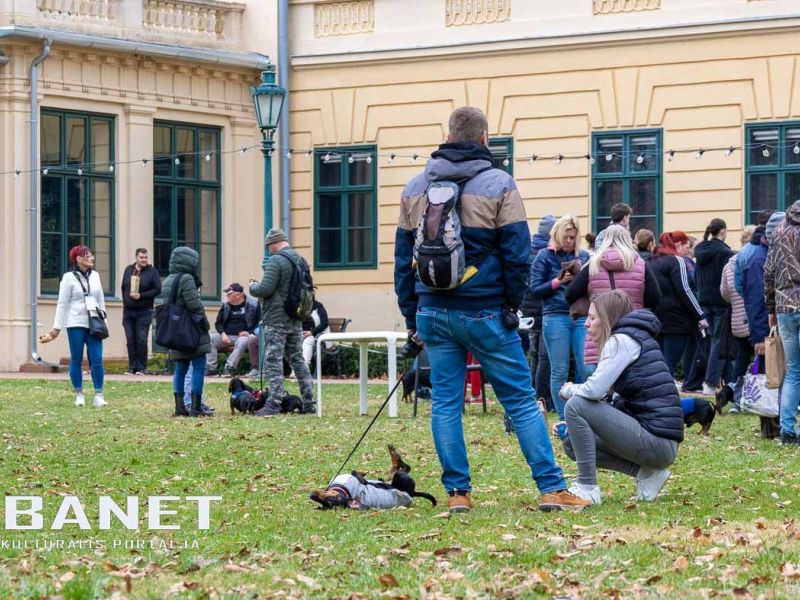 Tacskótalálkozó Gyulán - 2025 Tacskótalálkozó Gyulán - 2025