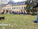 Tacskótalálkozó Gyulán - 2025