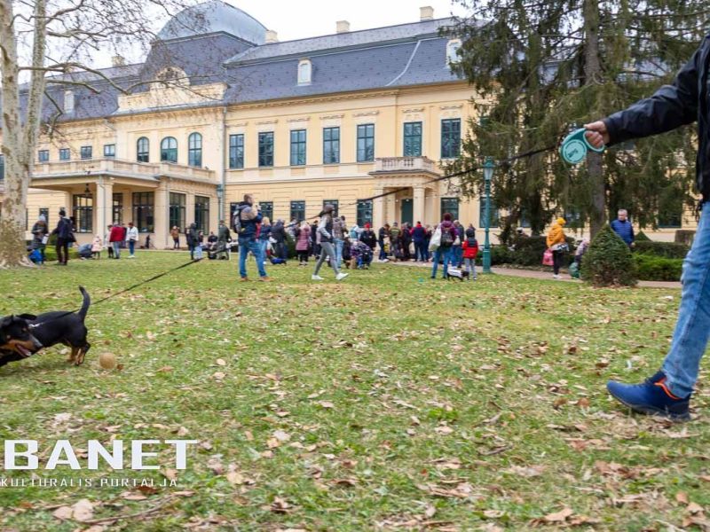 Tacskótalálkozó Gyulán - 2025 Tacskótalálkozó Gyulán - 2025