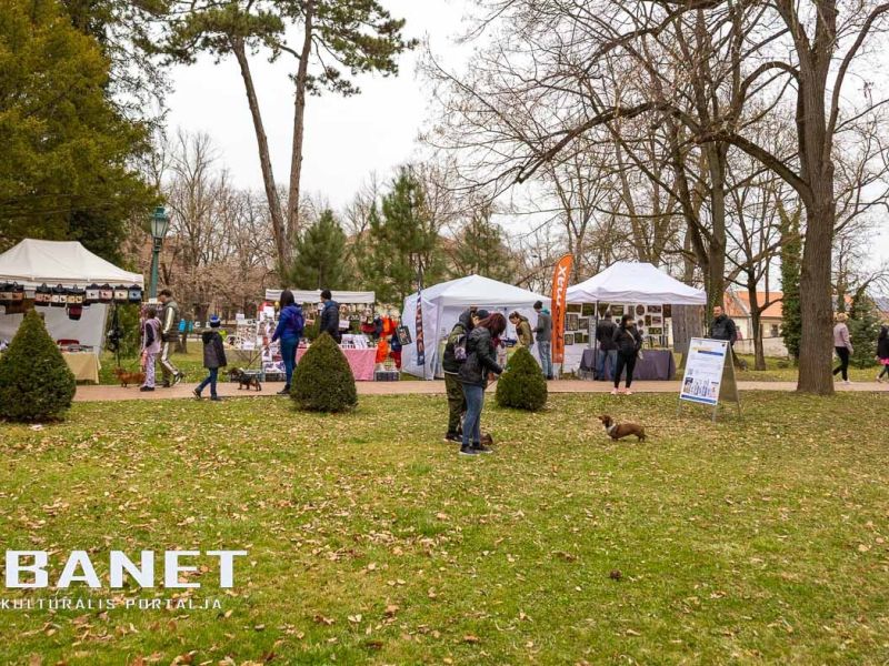 Tacskótalálkozó Gyulán - 2025 Tacskótalálkozó Gyulán - 2025