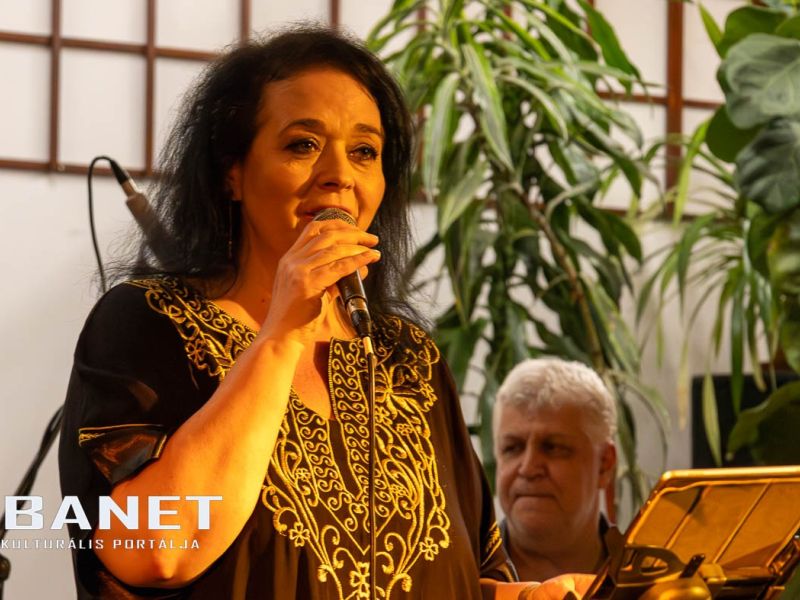 viraglanyok ejszakaja viraglanyok ejszakaja