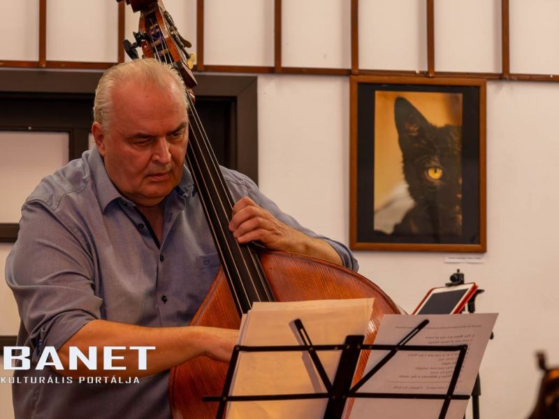 viraglanyok ejszakaja viraglanyok ejszakaja