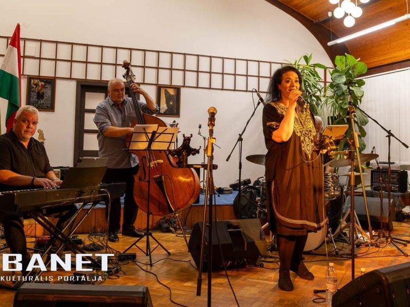 viraglanyok ejszakaja viraglanyok ejszakaja