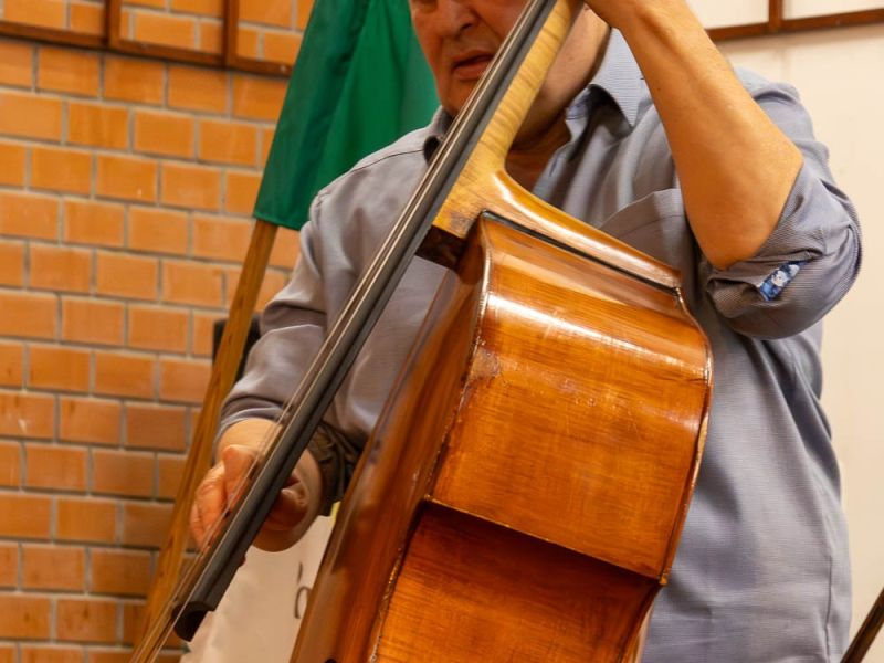 viraglanyok ejszakaja viraglanyok ejszakaja