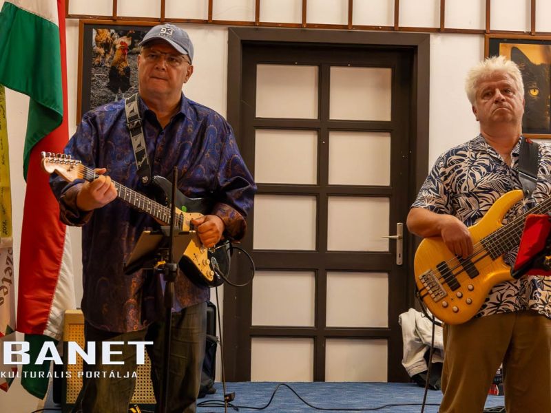 viraglanyok ejszakaja viraglanyok ejszakaja