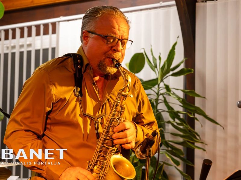 viraglanyok ejszakaja viraglanyok ejszakaja