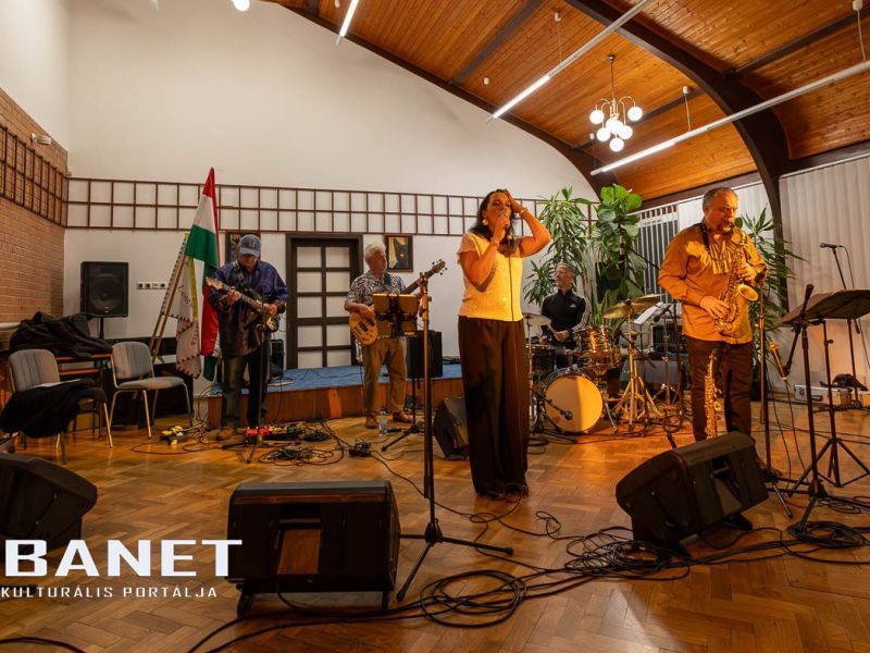 viraglanyok ejszakaja viraglanyok ejszakaja