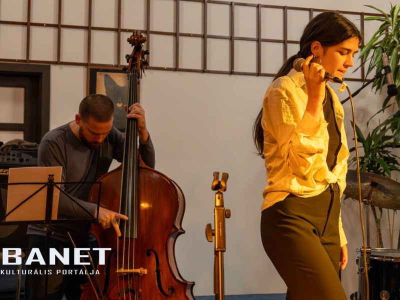 viraglanyok ejszakaja viraglanyok ejszakaja