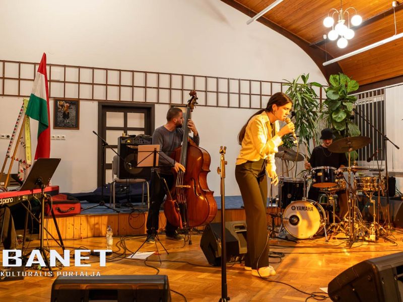 viraglanyok ejszakaja viraglanyok ejszakaja