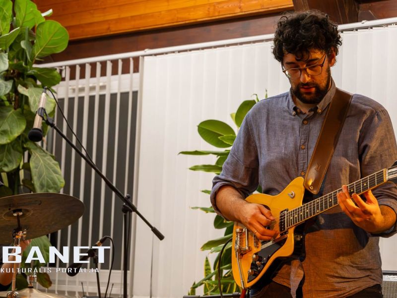 viraglanyok ejszakaja viraglanyok ejszakaja